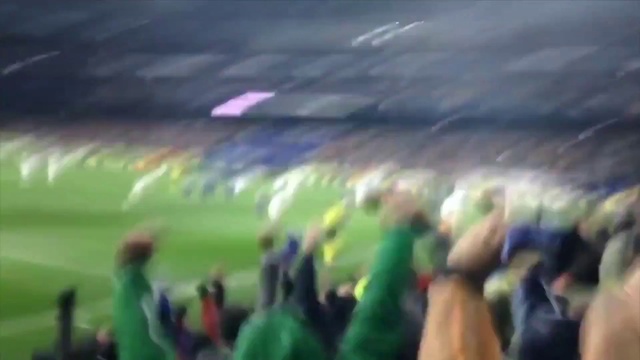 Video Reference: Player, Fan, Soccer, Grass, Leisure, Team sport, Sports, Stadium, Competition event, Crowd