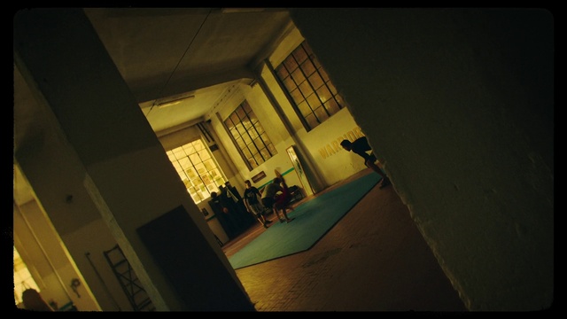 Video Reference: Window, Building, Rectangle, Fixture, Tints and shades, Facade, Door, Plant, Wood, Space