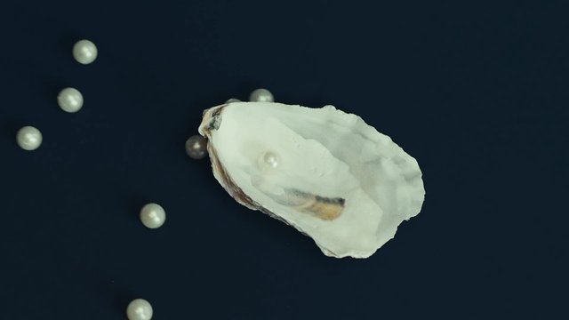 Video Reference: oyster, shell, pearl, seafood, close-up, still life, dark background, marine, texture, food, elegant, minimal, abstract