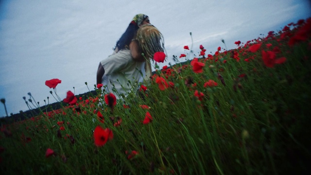 Video Reference: Flower, Plant, Sky, Ecoregion, People in nature, Cloud, Natural environment, Natural landscape, Petal, Happy