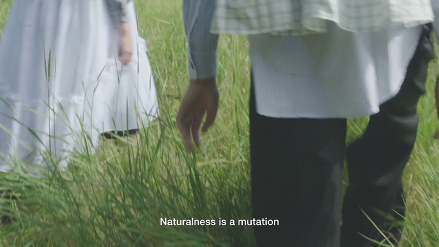 Video Reference: Plant, Natural environment, People in nature, Sleeve, Mammal, Gesture, Grass, Happy, Adaptation, Grassland