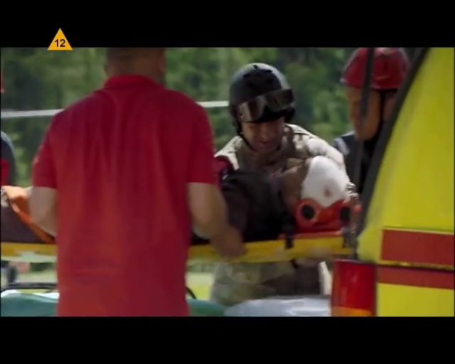 Video Reference: Dog, Hat, T-shirt, Companion dog, Fun, Event, Recreation, Sharing, Leisure, Photo caption