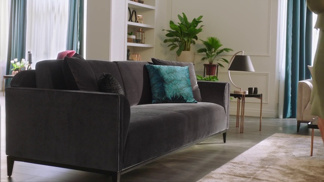 Video Reference: Couch, Furniture, Comfort, Plant, Building, Living room, Interior design, Floor, Wood, Flooring