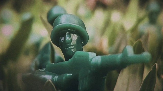 Video Reference: Water, Helmet, Sculpture, Plant, Terrestrial plant, Wood, Personal protective equipment, Recreation, Grass, Close-up