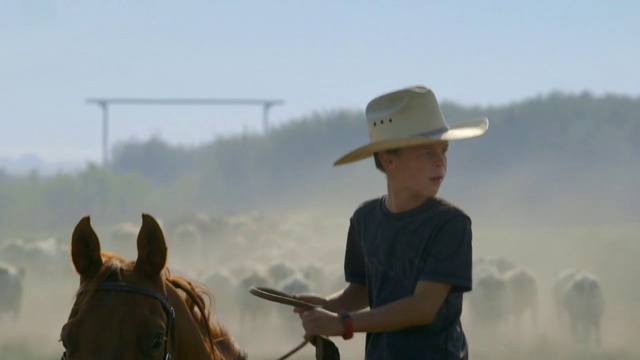 Video Reference: Horse, Sky, Hat, Working animal, Horse tack, Bridle, Horse supplies, Equestrian sport, Equestrianism, Sun hat