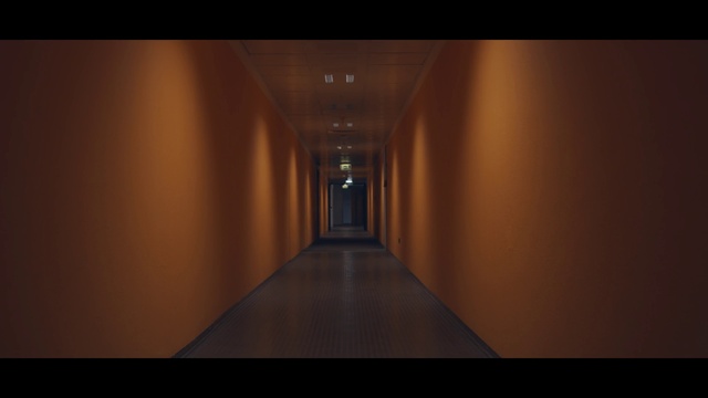 Video Reference: Building, Wood, Fog, Tree, Art, Tints and shades, Flooring, Flash photography, Sky, Symmetry