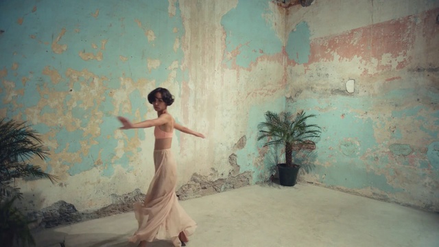 Video Reference: Plant, Nature, People in nature, Dress, Flowerpot, Flash photography, Branch, Textile, Lighting, Houseplant