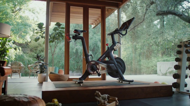 Video Reference: Wheel, Plant, Tire, Building, Window, Wood, Tree, Stationary bicycle, Sculpture, Bicycle