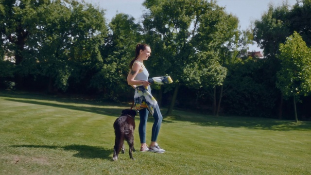 Video Reference: Dog, Plant, Sky, Tree, Carnivore, Grass, Grassland, Leisure, Dog breed, Recreation