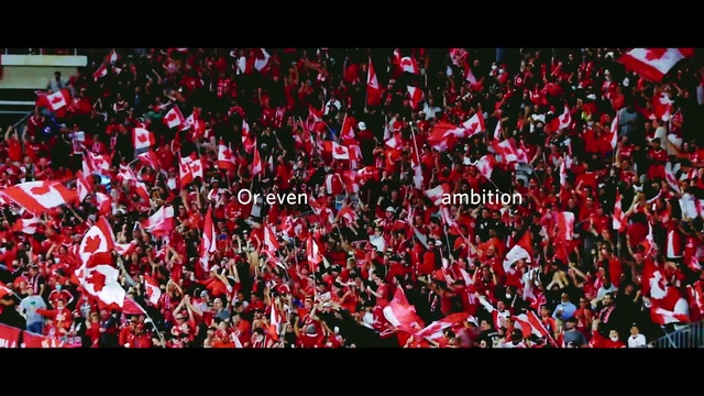 Video Reference: Petal, Flower, Plant, Font, Fan, Grass, Magenta, Groundcover, Event, Flowering plant