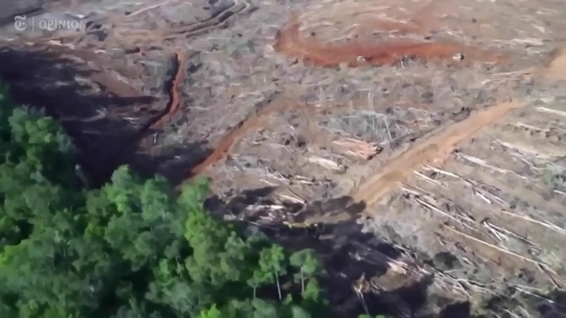 Video Reference: Water, Bedrock, Wood, Formation, Landscape, Grass, Outcrop, Natural landscape, Soil, Rock
