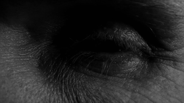 Video Reference: Nose, Brown, Eyebrow, Eyelash, Human body, Iris, Grey, Tints and shades, Wrinkle, Darkness