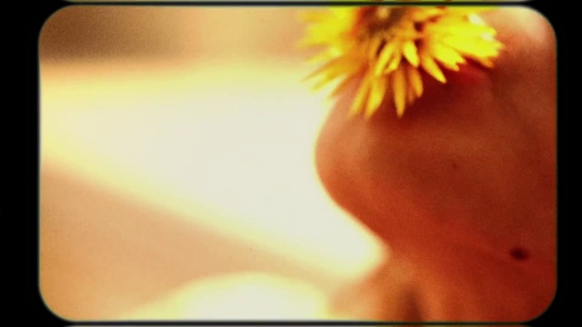 Video Reference: Glasses, Smile, Plant, Flower, Leg, Eyelash, Petal, People in nature, Happy, Sky