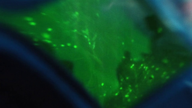 Video Reference: Water, Green, Automotive lighting, Liquid, Visual effect lighting, Electric blue, Circle, Grass, Macro photography, Event