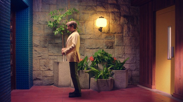 Video Reference: Plant, Flash photography, Standing, Houseplant, Wood, Adaptation, Flooring, Flower, Tints and shades, Door