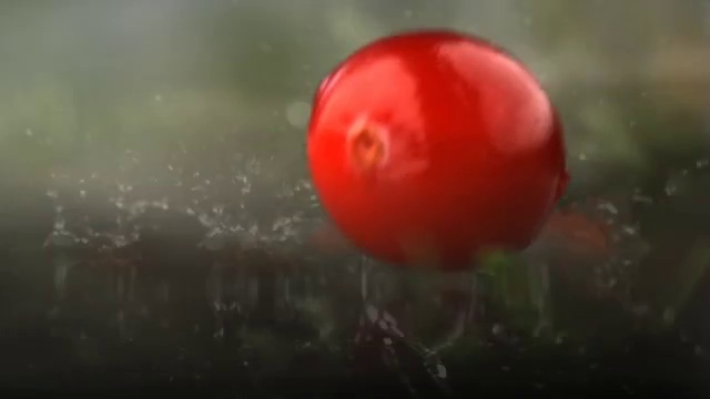 Video Reference: Plant, Fruit, Water, Tree, Balloon, Window, Art, Grass, Flowering plant, Vegetable
