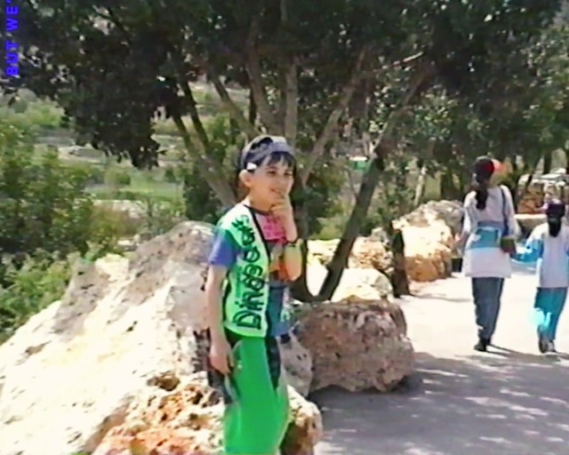 Video Reference: Plant, Tree, Travel, Leisure, Recreation, Street fashion, Asphalt, Soil, Grass, Road