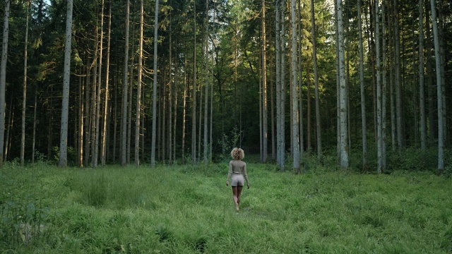 Video Reference: Plant, People in nature, Tree, Natural landscape, Wood, Terrestrial plant, Land lot, Woody plant, Trunk, Grassland