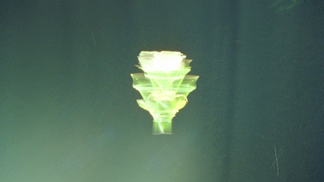 Video Reference: Terrestrial plant, Art, Natural material, Transparent material, Tints and shades, Transparency, Electric blue, Symmetry, Plant stem, Grass