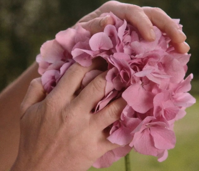 Video Reference: Flower, Hand, Plant, Petal, Gesture, Finger, Pink, Nail, Magenta, Rose