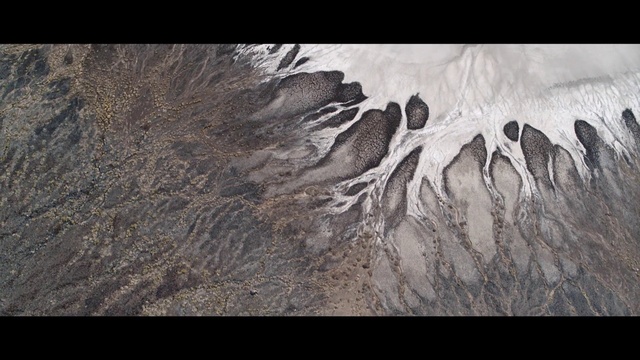 Video Reference: Organism, Automotive tire, Wood, Feather, Grass, Tints and shades, Landscape, Road surface, Art, Pattern
