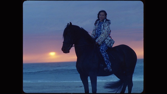 Video Reference: Horse, Sky, Water, Working animal, Happy, Horse supplies, Bridle, Landscape, Horse tack, Travel