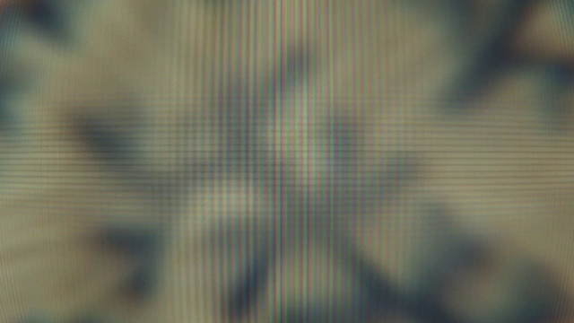 Video Reference: Head, Eye, Grey, Tints and shades, Electric blue, Transparent material, Pattern, Tree, Macro photography, Font