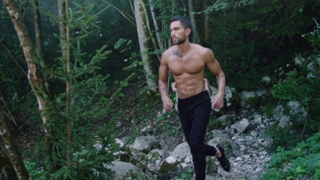 Video Reference: Plant, People in nature, Tree, Terrestrial plant, Thigh, Knee, Shorts, Chest, Trunk, Forest