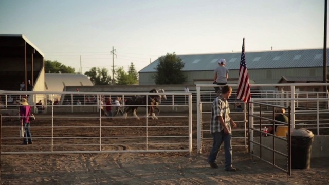 Video Reference: Sky, Tree, Working animal, Fence, Wood, Landscape, Asphalt, Event, Ranch, Soil