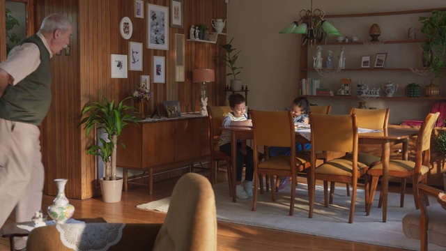 Video Reference: Furniture, Plant, Property, Houseplant, Flowerpot, Building, Table, Lighting, Interior design, Chair