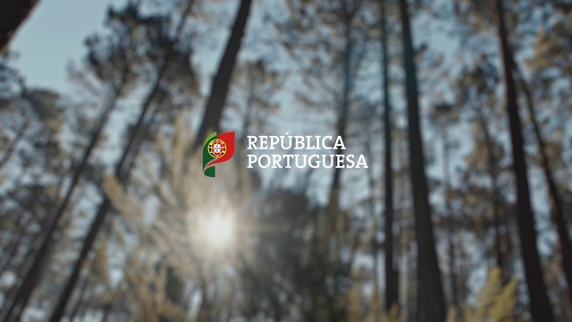 Video Reference: Sky, Cloud, Natural landscape, Wood, Twig, Trunk, Tree, Plant, Font, Grass