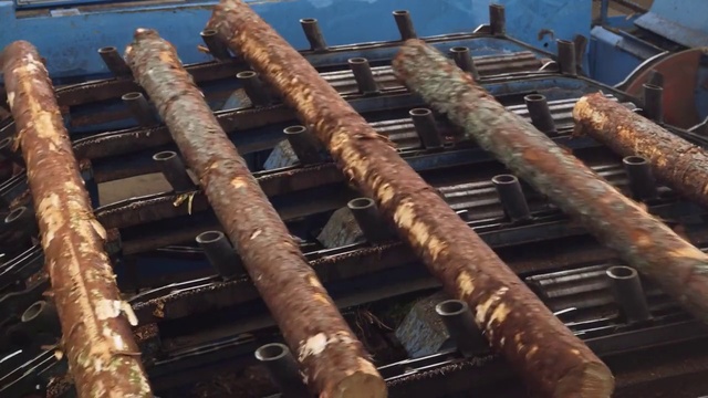 Video Reference: Wood, Cuisine, Gas, Dish, Water, Composite material, Metal, Cooking, Steel, Roof