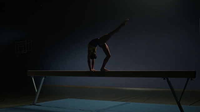 Video Reference: Sportswear, Performing arts, Entertainment, Sports, Balance, Gymnastics, Physical fitness, Elbow, Recreation, Human leg