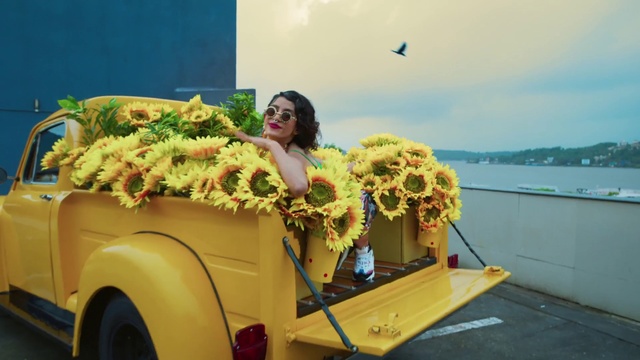 Video Reference: Flower, Cloud, Sky, Sunglasses, Tire, Plant, Vehicle, Wheel, Motor vehicle, Yellow