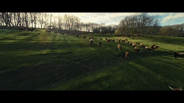 Video Reference: Cloud, Plant, Atmosphere, Sky, Tree, Natural landscape, People in nature, Land lot, Grass, Sunset