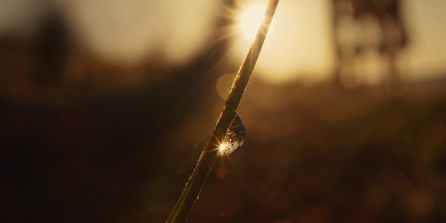 Video Reference: Sky, Amber, Wood, Twig, Natural landscape, Water, Astronomical object, Lens flare, Grass, Heat