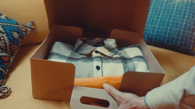 Video Reference: Comfort, Couch, Orange, Wood, Pillow, Linens, Living room, Flooring, Throw pillow, House