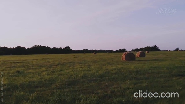 Video Reference: Sky, Plant, Cloud, Natural landscape, Tree, Agriculture, Grassland, Meadow, Grass, Horizon