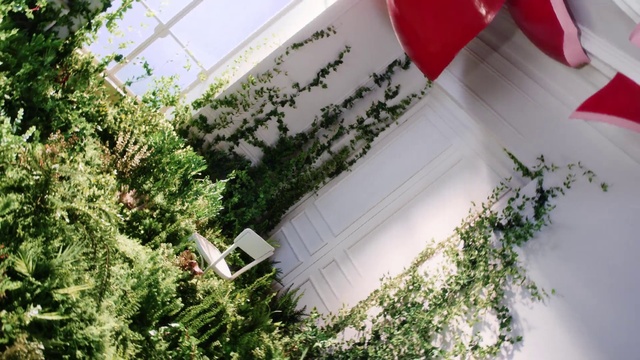 Video Reference: Plant, Leaf, Grass, Red, Urban design, Summer, Tints and shades, Building, Landscape, Shrub