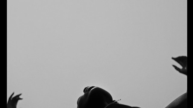 Video Reference: Sky, Gesture, Wing, Hat, Tints and shades, Roof, Monochrome photography, Monochrome, Shadow, Backlighting