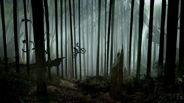 Video Reference: Atmosphere, Plant, Wood, Natural landscape, Branch, Trunk, Terrestrial plant, Sunlight, Grass, Tints and shades