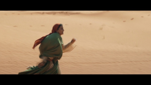 Video Reference: Wood, Erg, Landscape, Tints and shades, Recreation, Aeolian landform, Singing sand, Happy, Travel, Dune