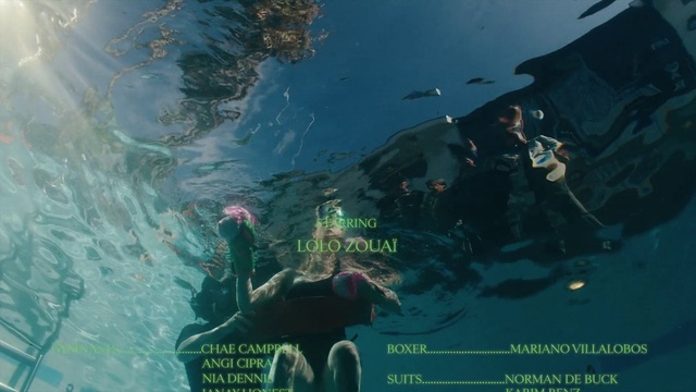 Video Reference: Water, World, Underwater, Organism, Marine biology, Fish, Recreation, Leisure, Divemaster, Science