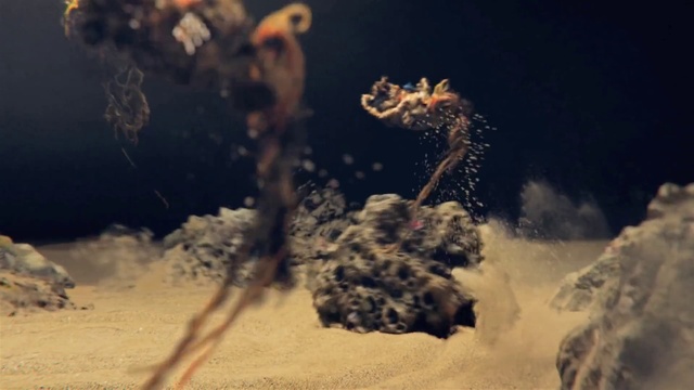 Video Reference: Cloud, World, Sky, Plant, Freezing, Underwater, Landscape, Wood, Tree, Event