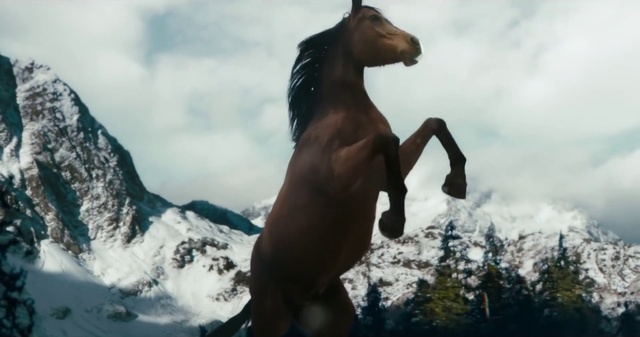 Video Reference: Horse, Sky, Cloud, Liver, Sorrel, Tree, Working animal, Plant, Mane, Sculpture