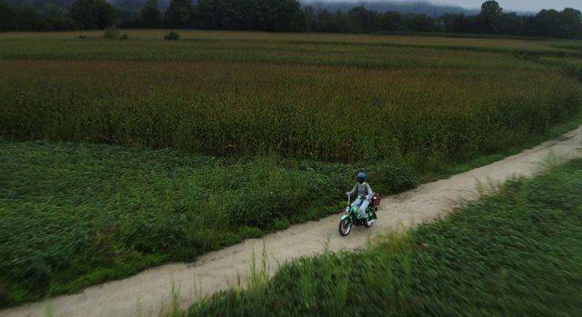 Video Reference: Tire, Wheel, Ecoregion, Plant, Automotive tire, Vehicle, Motorcycle, Motocross, Tree, Helmet