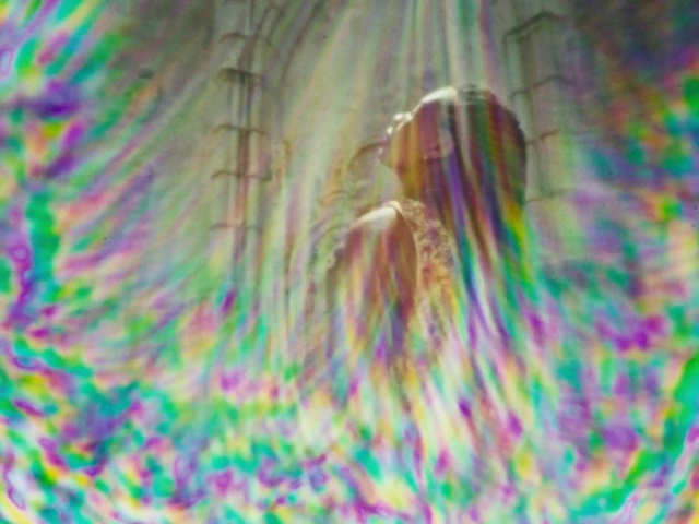 Video Reference: Purple, Textile, Organism, Pink, Art, Magenta, Pattern, Electric blue, Circle, Close-up