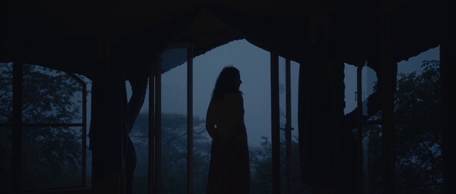 Video Reference: Flash photography, Wood, Branch, Sky, Tints and shades, Midnight, Monochrome photography, Winter, Forest, Monochrome