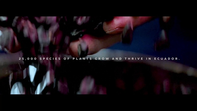 Video Reference: Eyebrow, Eyelash, Mouth, Plant, Jaw, Organism, Gesture, Violet, Finger, Happy