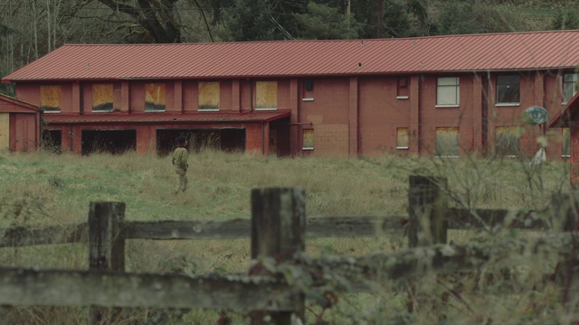 Video Reference: Plant, Property, Window, Vertebrate, Wood, Land lot, Grass, Vegetation, Landscape, Facade